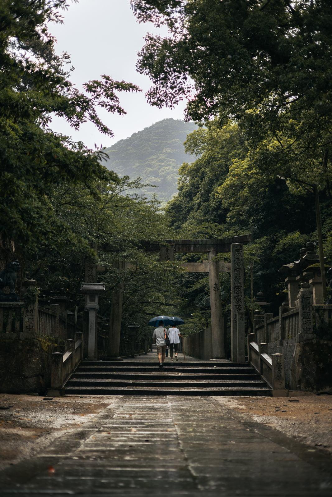 夕立が訪れた直後の参道